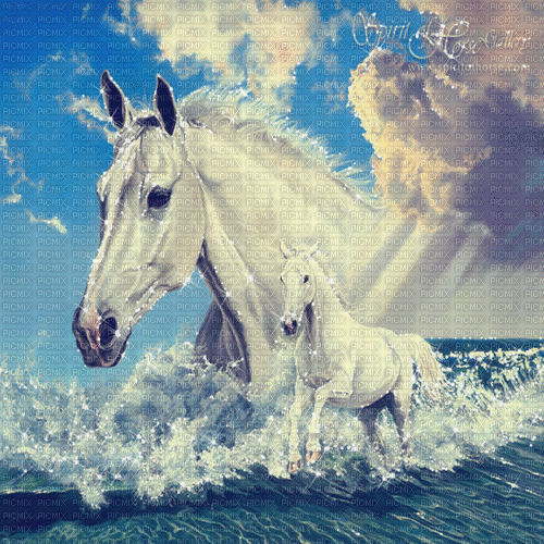 horse pferd milla1959 - Free animated GIF