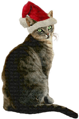 Kaz_Creations Christmas Cat - 免费PNG