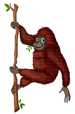Kaz_Creations Animals Monkey - ingyenes png