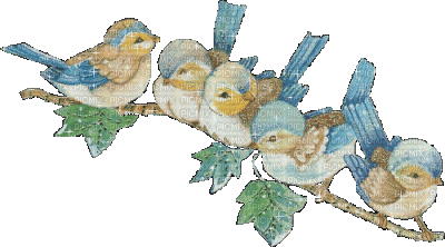 petits oiseaux sur une  branche - Animovaný GIF zadarmo