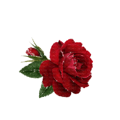 virág - Δωρεάν κινούμενο GIF