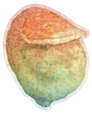 pancake bunny holo sticker - бесплатно png