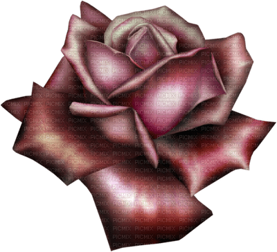 Flowers burgundy bp - 免费PNG