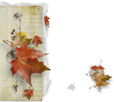 Autumn.automne.Cadre.Frame.Victoriabea - ücretsiz png