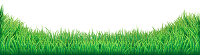 Kaz_Creations Garden-Deco-Grass - png gratuito