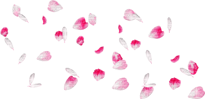 soave deco valentine rose scrap red petals white - Free PNG