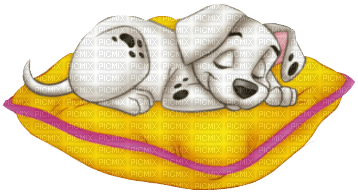 Hund schläft - PNG gratuit