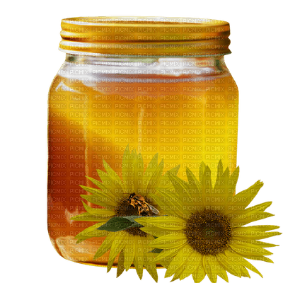 Kaz_Creations Jars Jar Deco - Free PNG