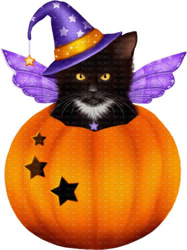 Kitten.Fairy.Halloween.Purple.Orange.Black - png gratuito