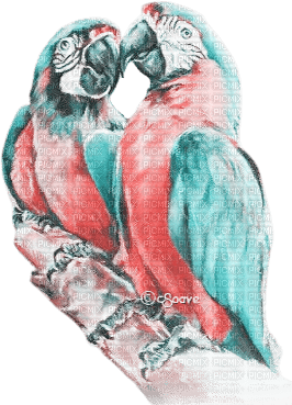 soave deco summer bird branch tropical parrot - 無料png