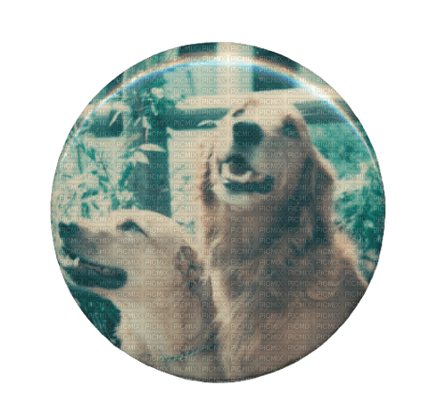 dogs pin - ilmainen png