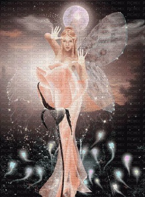 fairy fantasy laurachan - besplatni png