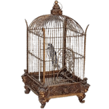 birdcage bp - Free animated GIF