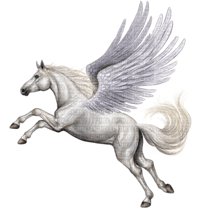 Pegasus bp - PNG gratuit