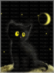 MMarcia gif gato preto - Besplatni animirani GIF