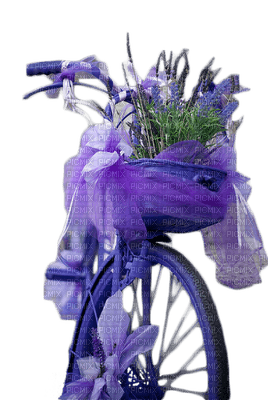 violeta - besplatni png