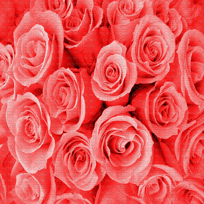 Kaz_Creations Deco Flowers  Backgrounds Background Colours - GIF animé gratuit