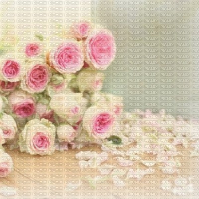 bg-pink-roses - PNG gratuit