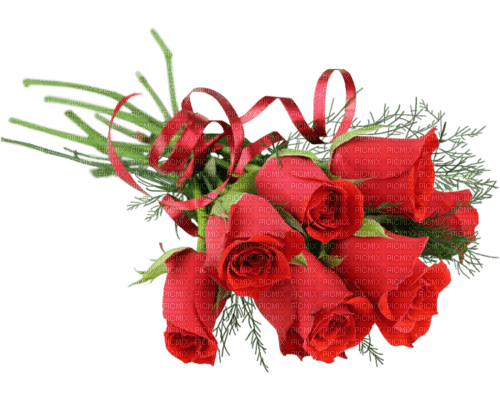 fleur rose rouge - 免费PNG