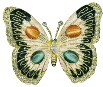 papillon - Zdarma animovaný GIF