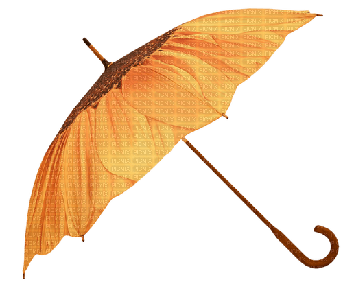 Sunflower.Tournesol.Umbrella.Parapluie.Victoriabea - PNG gratuit