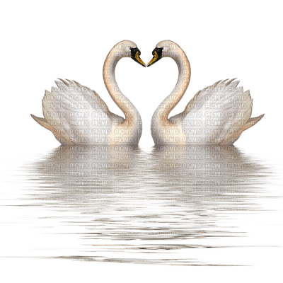 swans bp - PNG gratuit