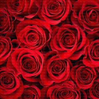 Red Roses Background - zdarma png