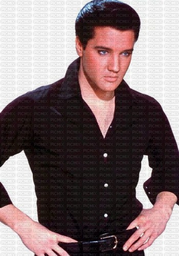 Elvis Presley - 免费PNG