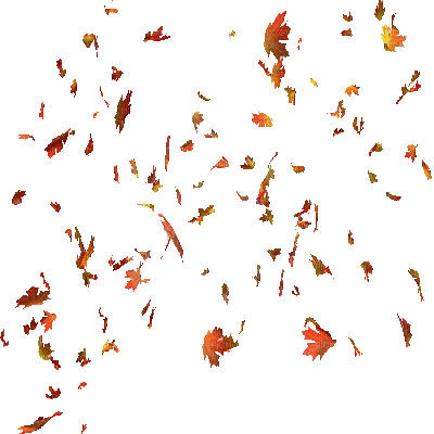 autumn leaves gif (created with gimp) - GIF animado grátis