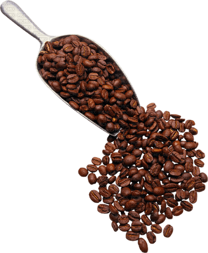 Kaz_Creations Coffee - zdarma png