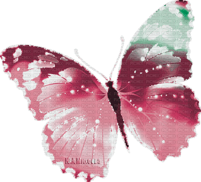 Y.A.M._Fantasy Butterfly - Бесплатни анимирани ГИФ