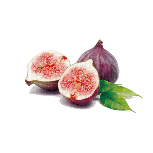 figs Bb2 - 免费PNG