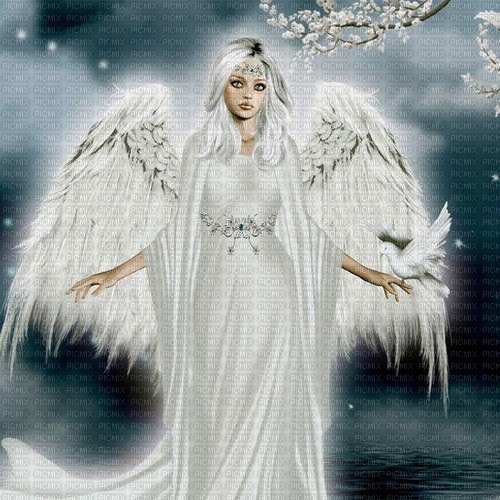 White angel with dove, grey background, jpg - фрее пнг