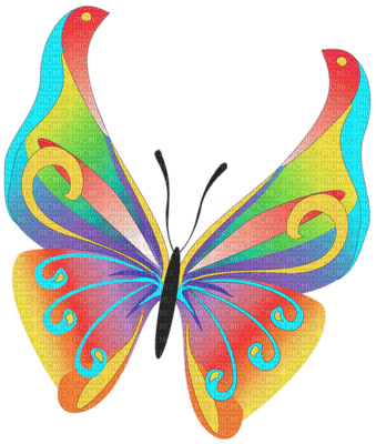 colorful butterfly - nemokama png