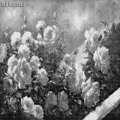 Y.A.M._Vintage background flowers black-white - Animovaný GIF zadarmo