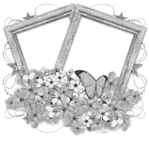 butterflies frame black and white - png ฟรี