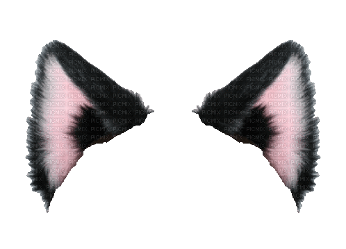 pink and black cat ears - GIF animé gratuit