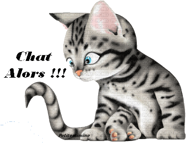 Le chat - Zdarma animovaný GIF