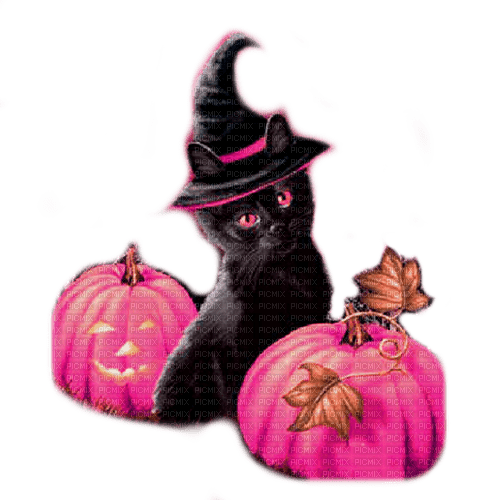 halloween cat - ücretsiz png
