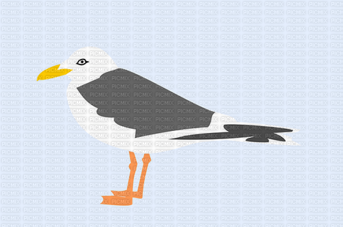 Gull - Free PNG
