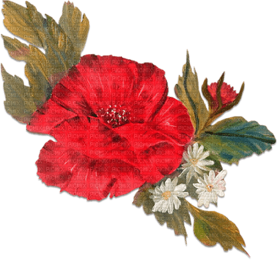 soave deco flowers poppy red - png gratis