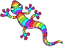 rainbow lizard - GIF เคลื่อนไหวฟรี
