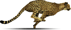 Kaz_Creations Cheetah - bezmaksas png