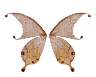 Flügel - png grátis
