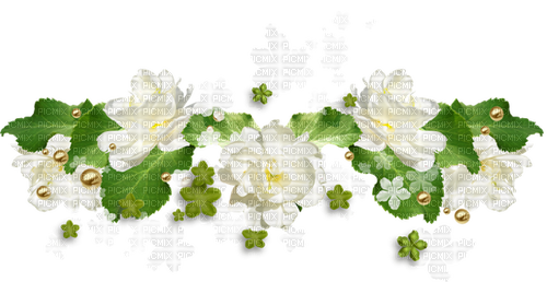 Fleurs.Flowers.Jasmins.White.Victoriabea - PNG gratuit