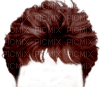 Cheveux - 免费PNG