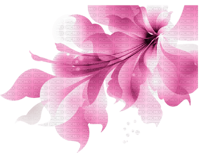 Flower, Flowers, Pink, Deco, Decoration - Jitter.Bug.Girl - png gratis
