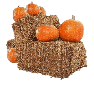 Kaz_Creations Deco Pumpkins - png gratis