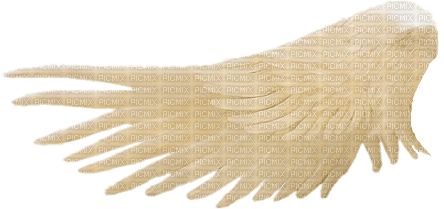 Aile.Wing.Beige.Ala.Victoriabea - zdarma png