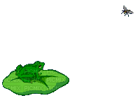 frog - Ingyenes animált GIF